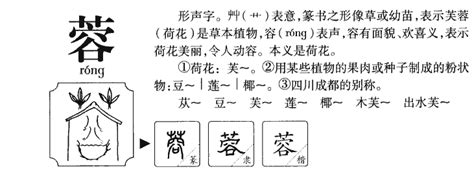 蓉名字意思|蓉字取名的寓意